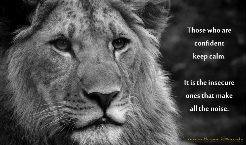 The confident and the insecure