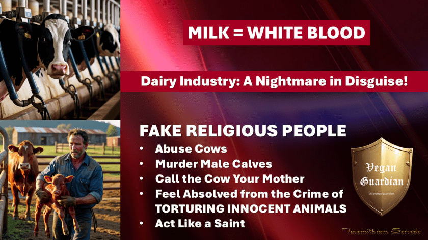 WHITE BLOOD -Milk, Tradition, and Compassion: Rethinking Our&nbsp;Choices
